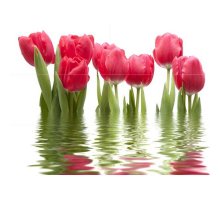 Нефрит Панно Тюльпаны светлое 06-01-1-64-04-21-160-0 75х100 1кт
