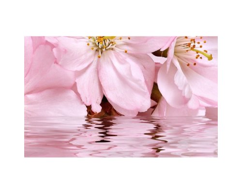 Belleza Декоративный массив Букет розовый