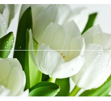 Polcolorit Arco Verde Tulipan Панно (из 2-х пл.) 50x60