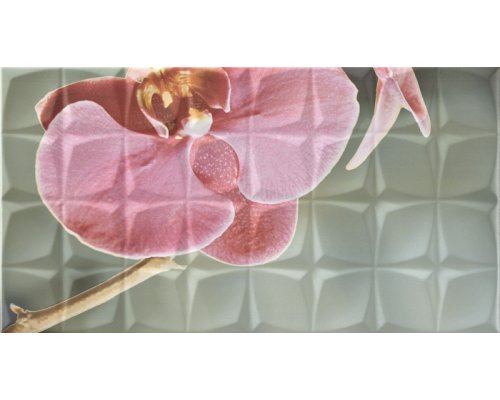 Rocersa Dec. Orchid A Rosa RSA Декор 31,6x59,34