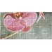 Rocersa Dec. Orchid A Rosa RSA Декор 31,6x59,34
