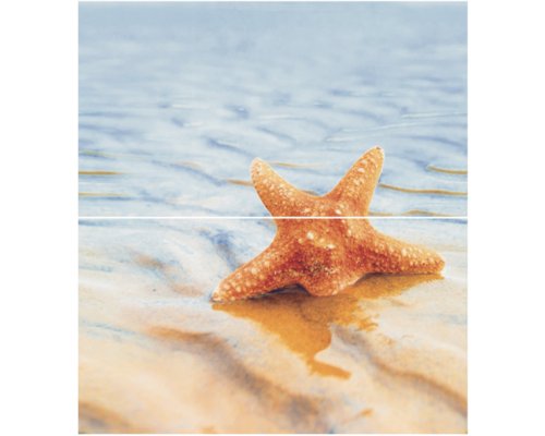 Ceradim Dec Starfish 1 Panno (панно из 2-х шт) КПН16Starfish1 50х45