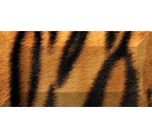 Ceramica Classic Africa Бордюр рельефный br1020D210-1 20х10
