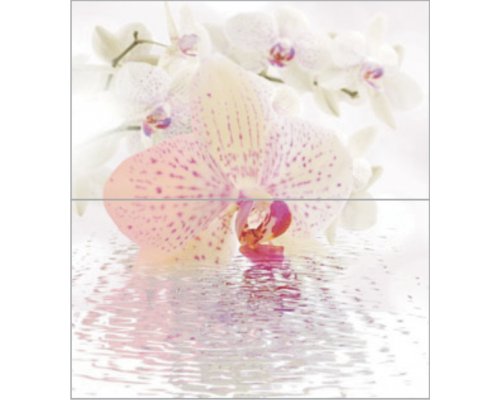 Ceradim Dec Orchid Panno (панно из 2-х шт) КПН16Orchid 50х45