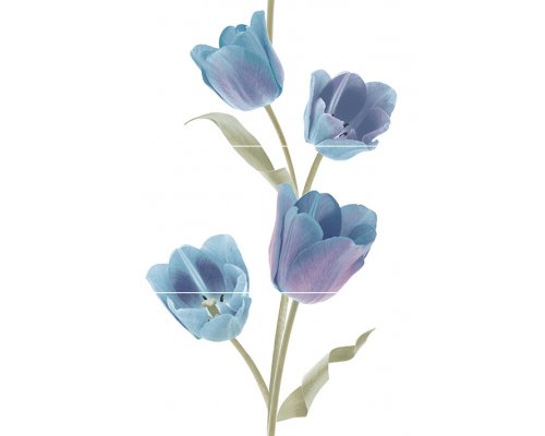 Keros Tulips Frios Панно (из 3-х плиток) 50х75