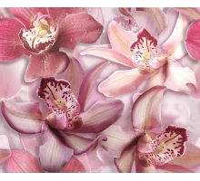 Cerrol Porto Flowers Orchid lila Панно 50x60 (2пл)