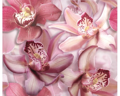 Cerrol Porto Flowers Orchid lila Панно 50x60 (2пл)