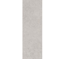 Kerama Marazzi Риккарди серый светлый матовый обрезной 14053R 40x120