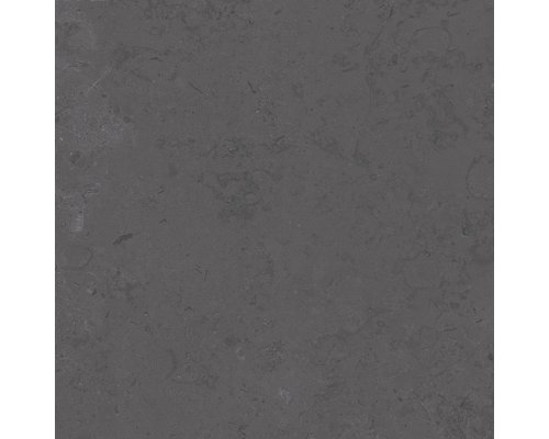 Kerama Marazzi Про Лаймстоун серый темный натуральный обрезной DD640800R 60х60