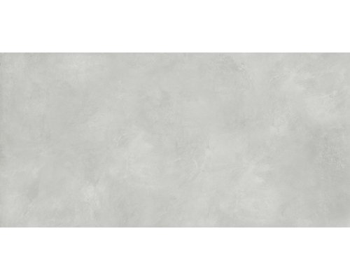Laparet Evolution Smoke Керамогранит светло-серый SG50001120R 59,5х119,1 Матовый Карвинг